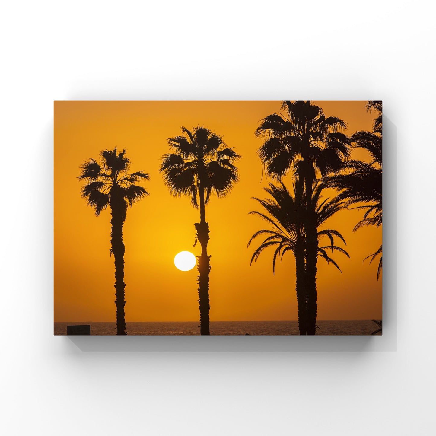 Palm Tree Sunset Print