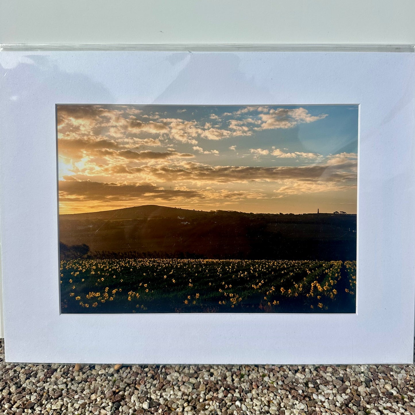 Cornish Various Prints