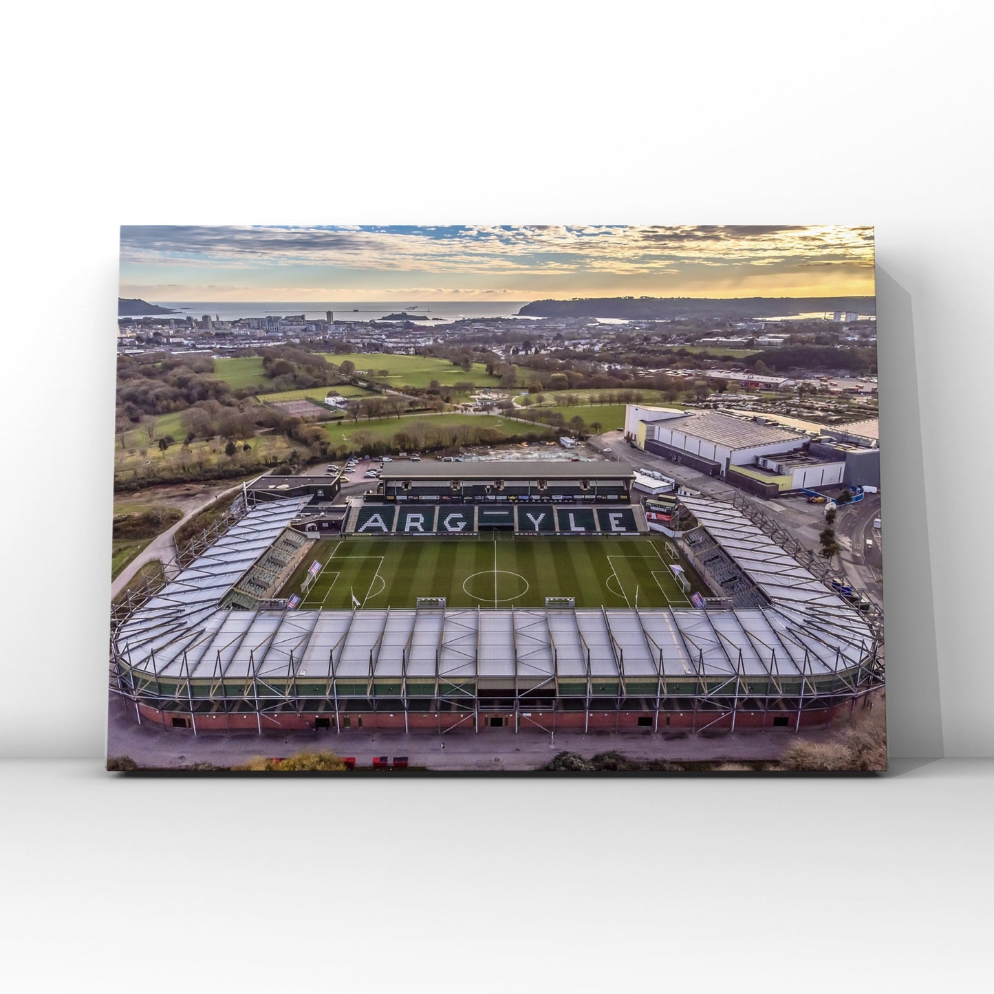 Plymouth Argyle Home Park Print