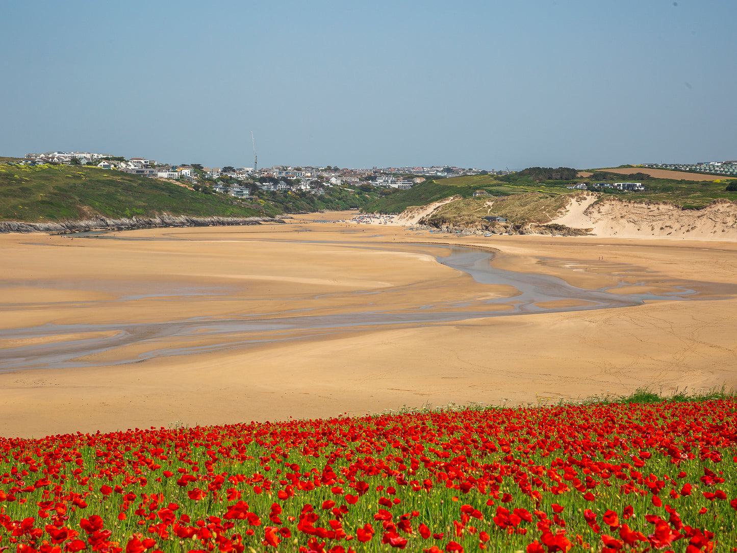 Poppies of Pentire , Crantock Beach Cornwall Print