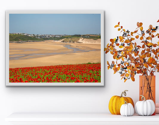 Poppies of Pentire , Crantock Beach Cornwall Print