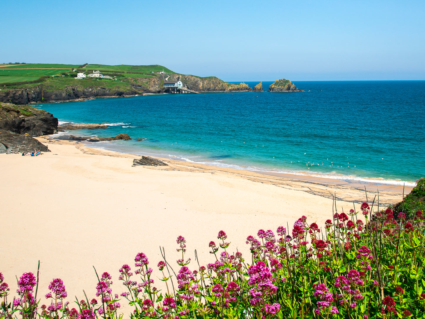 Mother Iveys Bay Beach Cornwall